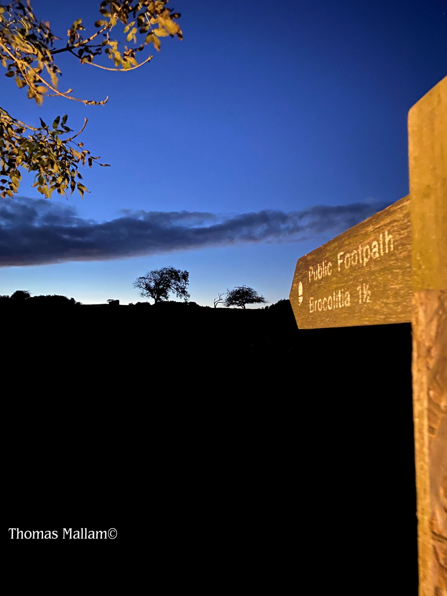 Brocolita sign, Hadrian's Wall - A5 Greeting Card