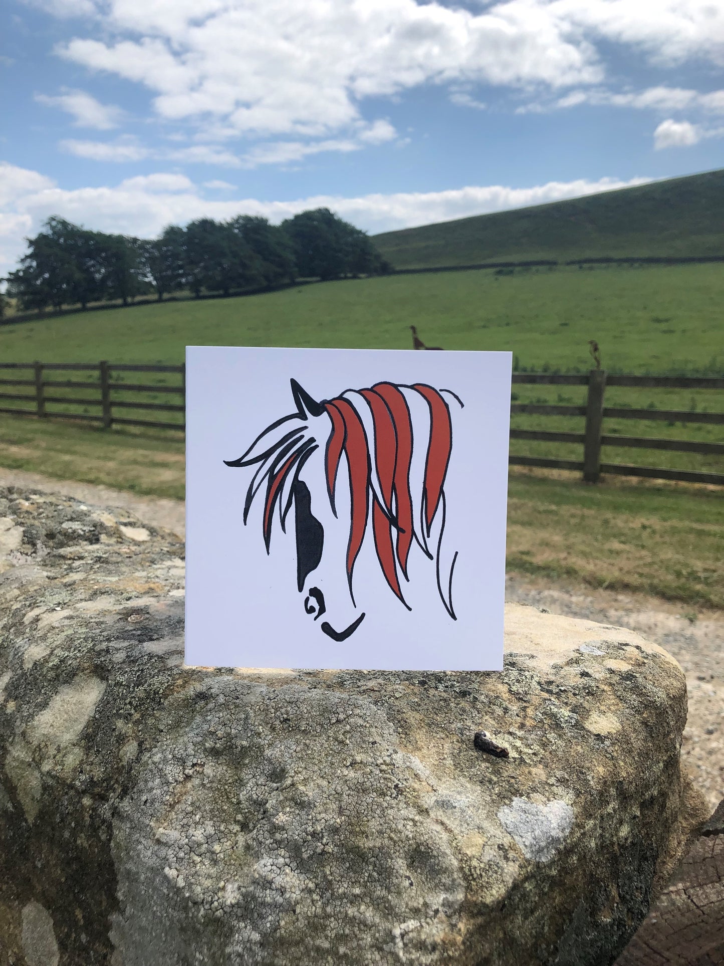 Coloured Cob Head - Greeting Card