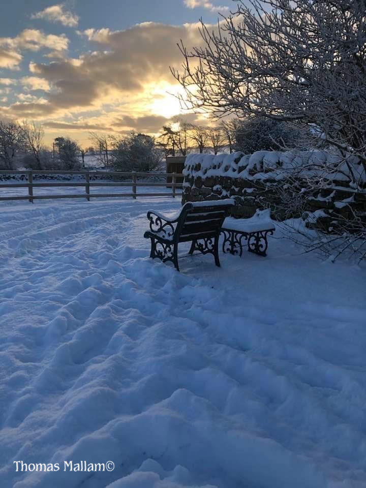 Chair In The Snow - A5 Greeting Card