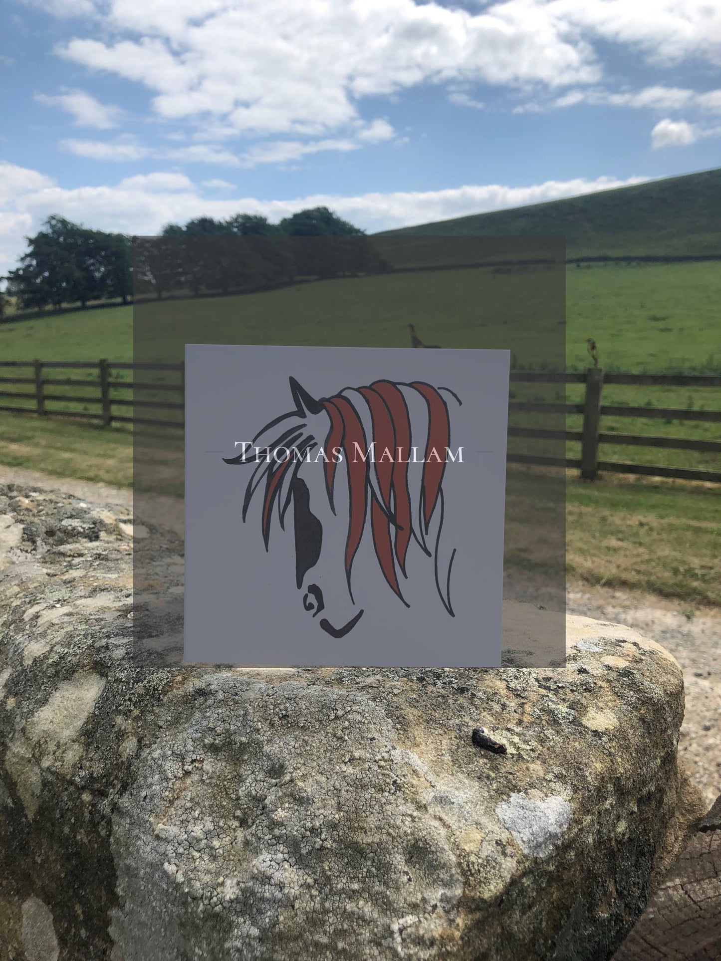 Coloured Cob Head - Greeting Card