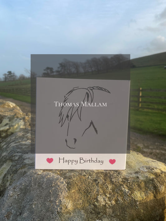 Happy Birthday Welsh Pony - Greeting Card